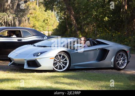 RYAN REYNOLDS, SELBST/weniger, 2015 Stockfoto