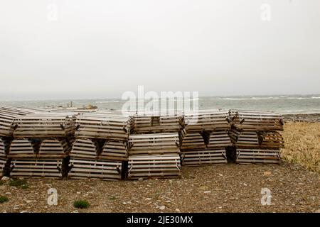 New Ferolle Peninsula Lighthouse, und Gemeinde Neufundland Kanada Stockfoto