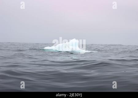 Welle krachend gegen kleine Eisberge, die im Meer schweben Stockfoto