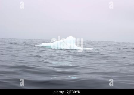 Welle krachend gegen kleine Eisberge, die im Meer schweben Stockfoto