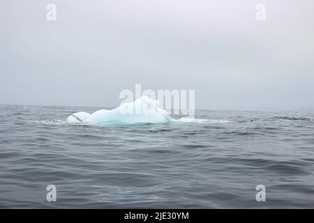 Welle krachend gegen kleine Eisberge, die im Meer schweben Stockfoto