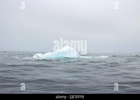 Welle krachend gegen kleine Eisberge, die im Meer schweben Stockfoto