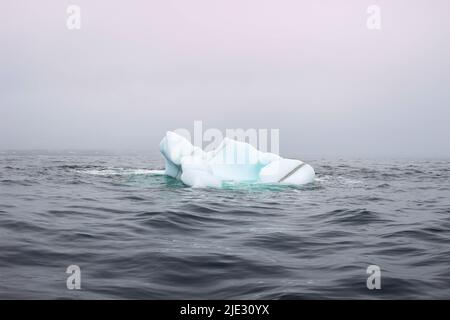 Welle krachend gegen kleine Eisberge, die im Meer schweben Stockfoto