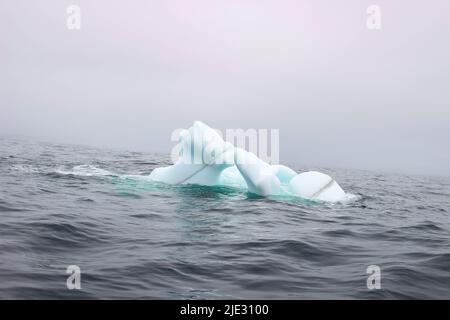 Welle krachend gegen kleine Eisberge, die im Meer schweben Stockfoto