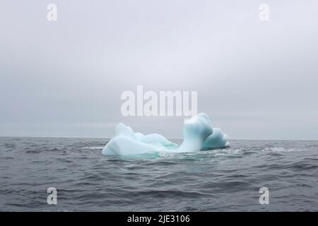 Welle krachend gegen kleine Eisberge, die im Meer schweben Stockfoto