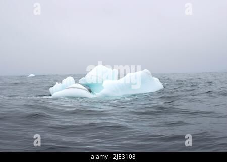 Welle krachend gegen kleine Eisberge, die im Meer schweben Stockfoto