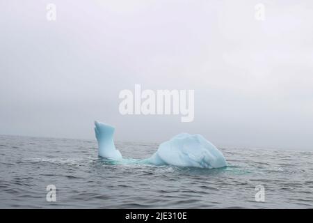 Welle krachend gegen kleine Eisberge, die im Meer schweben Stockfoto