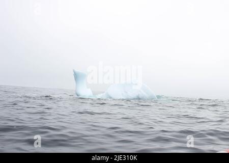 Welle krachend gegen kleine Eisberge, die im Meer schweben Stockfoto