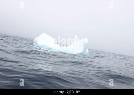 Welle krachend gegen kleine Eisberge, die im Meer schweben Stockfoto