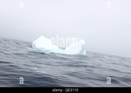 Welle krachend gegen kleine Eisberge, die im Meer schweben Stockfoto