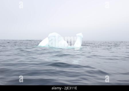 Welle krachend gegen kleine Eisberge, die im Meer schweben Stockfoto