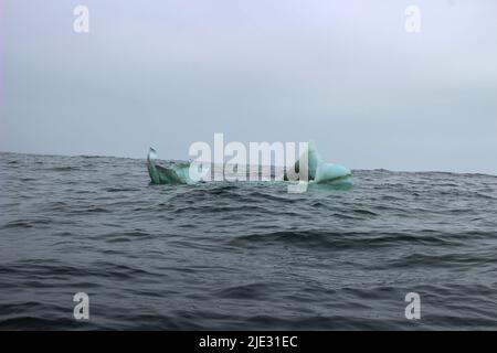 Welle krachend gegen kleine Eisberge, die im Meer schweben Stockfoto