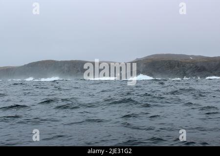 Welle krachend gegen kleine Eisberge, die im Meer schweben Stockfoto