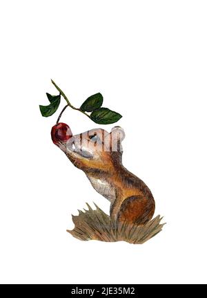 Aquarell-Braut Illustration von Waldtiermaus hält einen Zweig der Hundrose isoliert auf weißem Hintergrund Stockfoto