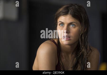 ALEXANDRA DADDARIO, SAN ANDREAS, 2015 Stockfoto