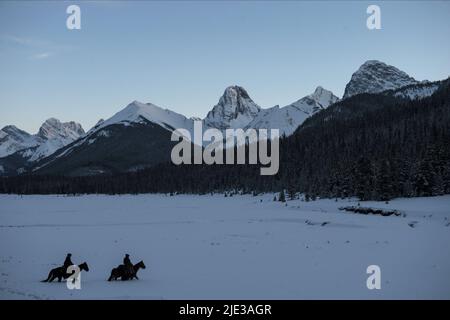 HARDY, POULTER, THE REVENANT, 2015 Stockfoto