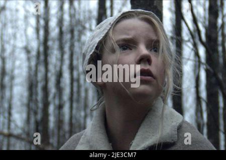 ANYA TAYLOR - Freude, die VVITCH: EINE NEUE - ENGLAND MÄRCHENS, 2015 Stockfoto