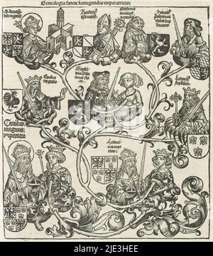 Abstammung von Cunegonde von Luxemburg, Genealogia sancte kunegundis imperatricis (Titel auf Objekt), Liber chronicarum (Serientitel), Abstammung von Cunegonde von Luxemburg. Sie blieb eine Jungfrau in Ehe mit König Heinrich II von Deutschland, wurde Kaiserin des Heiligen Römischen Reiches. Nach seinem Tod zog sie sich in eine Abtei zurück. Der Stammbaum besteht aus Wurzeln mit Kalyxen. In der Mitte Cunegunds Vater, Siegfried von Luxemburg genannt. Er soll durch einen Nachkommen Karls des Großen sein. Siegfried und seine Frau werden daher in diesem Stammbaum von Karl dem Kahlen und Ludwig II., zwei, flankiert Stockfoto