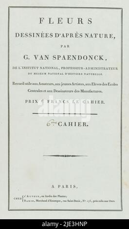 Fleurs dessinées d'après Natur (...) 6me Cahier (Serientitel auf Objekt), Cover für eine Serie von vier Blumendrucken., Druckerei: Anonym, Verlag: Gerard van Spaendonck, (auf Objekt erwähnt), Verlag: Jacques-Louis Bance, (auf Objekt erwähnt), Paris, 1799 - 1801, Papier, Buchdruck, Höhe 524 mm × Breite 345 mm Stockfoto