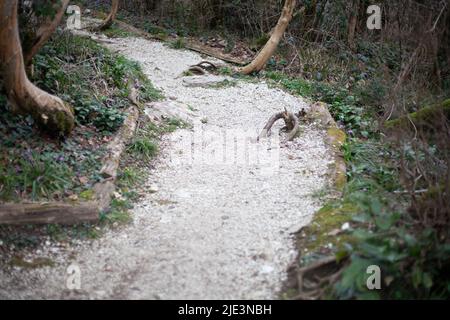 Wanderweg für Touristen in einem Naturschutzgebiet. Wildlife Trail. Eine touristische Route für einen Spaziergang an einem unbekannten Ort. Ausgestatteter Aufzug. Stockfoto