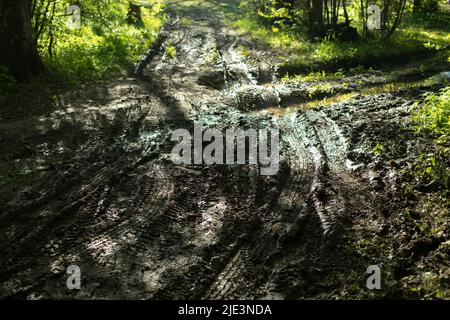 Schlammige Straße in Wäldern. Irdenen Weg im Park. Unpassierbarer Ort in der Natur. Stockfoto