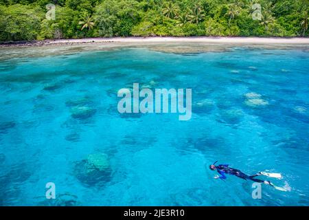 Eine Riff-Szene mit einem Schnorchler (MR) über Korallenriffen vor einer Insel in Fidschi. Stockfoto