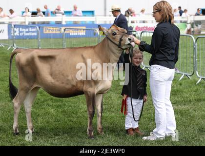 Ingliston, Großbritannien. 24.. Juni 2022. Ein junges Mädchen berührt am zweiten Tag der Royal Highland Show in Ingliston, in der Nähe von Edinburgh in Schottland, Großbritannien, am 24. Juni 2022 eine Kuh. Die 4-tägige Royal Highland Show feiert ihr 200.-jähriges Jubiläum der ersten Show im Jahr 1822. Quelle: Han Yan/Xinhua/Alamy Live News Stockfoto