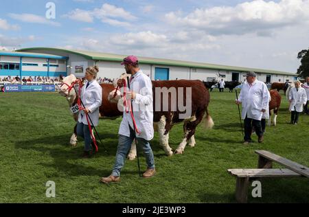 Ingliston, Großbritannien. 24.. Juni 2022. Die Teilnehmer und ihre Rinder sind am zweiten Tag der Royal Highland Show in Ingliston, in der Nähe von Edinburgh in Schottland, dem Vereinigten Königreich, am 24. Juni 2022 abgebildet. Die 4-tägige Royal Highland Show feiert ihr 200.-jähriges Jubiläum der ersten Show im Jahr 1822. Quelle: Han Yan/Xinhua/Alamy Live News Stockfoto