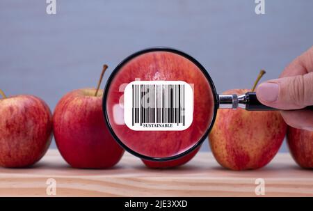 Nachhaltiges Barcode-Etikett auf dem Apfel, vergrößert durch Lupe, Umweltauswirkungen des Nachhaltigkeitsslabel für Lebensmittelkunden auf Lebensmittel Stockfoto