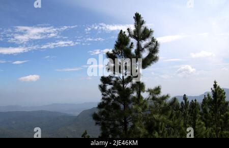 Wunderschöne Landschaftsaufnahmen in Sri Lanka Stockfoto