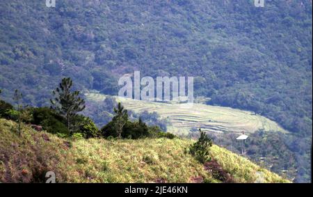 Wunderschöne Landschaftsaufnahmen in Sri Lanka Stockfoto