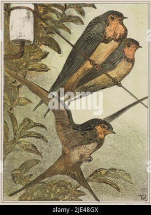 Drei Schwalben, Theo van Hoytema, 1878 - 1910, zwei Schwalben sitzen auf einem Draht. Darunter schwebt eine Schwalbe mit ausgebreiteten Flügeln., Druckerei: Theo van Hoytema, (vom Künstler signiert), 1878 - 1910, Papier, H 222 mm × B 168 mm, H 425 mm × B 302 mm Stockfoto