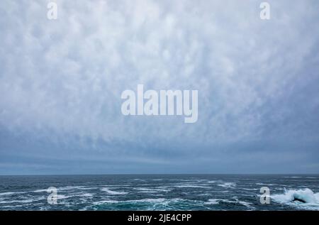 Mammatuswolken über dem Pazifischen Ozean, wie sie vom Wild Pacific Trail in der Nähe von Ucluelet, BC, Kanada, während eines atmosphärischen Flusses zu sehen sind. Stockfoto