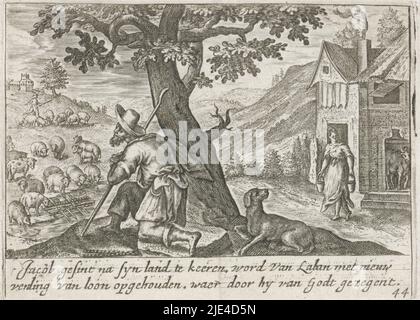Jacob bereichert sich mit Schafen aus Labans Herde, Crispijn van de Passe (I), 1700 - 1750, hat Jacob in den Trinkrinnen der Schafe geschälte Äste gelegt, um sicherzustellen, dass die weißen Schafe bunte Jungtiere gebären. Dabei täuscht er Laban, der mit ihm vereinbart hat, dass er alle bunten Tiere als Lohn empfangen wird (Gen. 30:37 Uhr). Er beobachtet, wie die Schafe die Zweige fressen. Am Rand eine zweizeilige Beschriftung auf Niederländisch., Druckerei: Crispijn van de Passe (I), Verlag: Isaac Greve, Druckerei: Utrecht, Verlag: Amsterdam, 1700 - 1750, Papier, Gravur, H 84 mm × B 116 mm Stockfoto