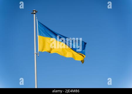 Die blau-gelbe ukrainische Flagge fliegt vor dem Hintergrund des klaren blauen Himmels. Stockfoto