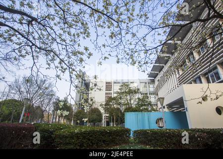 Zhejiang ningang yinzhou und Hochschulpark Universitätscampus Stockfoto