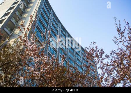 Zhejiang ningang yinzhou und Hochschulpark Universitätscampus Stockfoto