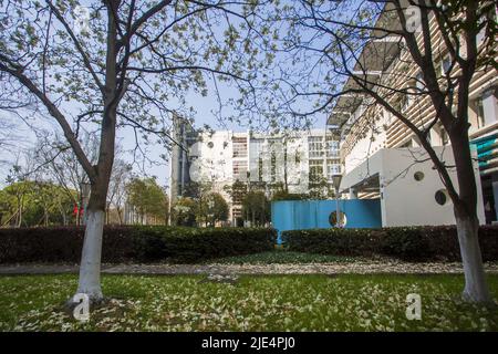 Zhejiang ningang yinzhou und Hochschulpark Universitätscampus Stockfoto