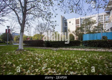 Zhejiang ningang yinzhou und Hochschulpark Universitätscampus Stockfoto
