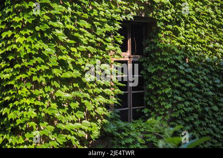Zhejiang Zhoushan shengsi seine Insel kein einziges Dorf Stockfoto