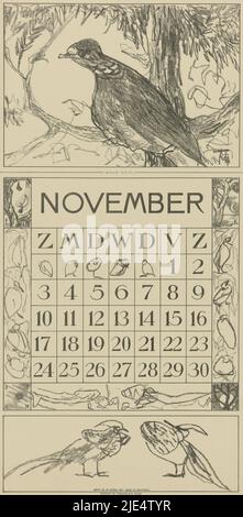 Die Taube sitzt auf einem Ast in einem Baum. Unten zwei weitere Vögel. In den Ecken die Positionen des Mondes an vier Tagen. Oben auf dem Blatt eine Einreißlinie, Kalenderblatt November mit Holztaube Holztaube, Kalender 1918 12 Lithographien von Th. v. Hoytema (Serientitel)., Druckerei: Theo van Hoytema, (auf Objekt erwähnt), Druckerei: Tresling & Comp., (auf Objekt erwähnt), Verlag: Firma Ferwerda en Tieman, Druckerei: Voorburg, Drucker: Amsterdam, Verlag: Amsterdam, 1917, Papier, H 420 mm × B 210 mm Stockfoto