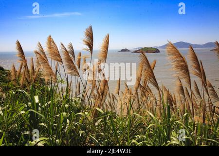 Zhejiang zhoushan shengsi chinesische Wolfberry Insel Bay Landschaft Stockfoto