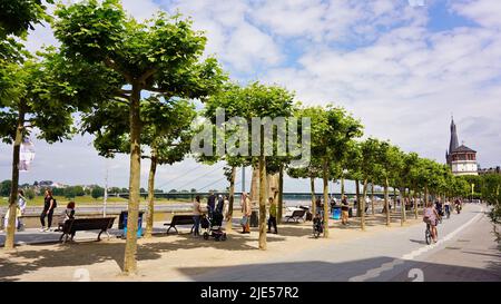 Rheinpromenade in Düsseldorf mit schönen Platanen an einem sonnigen Tag mit blauem Himmel. Historisches Schloss Turm im Hintergrund. Stockfoto