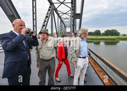 25. Juni 2022, Brandenburg, Neurüdnitz: Dietmar Woidke (l, SPD), Ministerpräsident von Brandenburg, blickt durch ein Fernglas auf die Öffnung der Europabrücke, die eine Verbindung zwischen den beiden Ländern über die deutsch-polnische Grenzfluß oder herstellt, und versucht, eine Adlereule zu erkennen, die in der Nähe der Brücke ihr Nest hat. Daneben steht Martin Müller, Offizier der Adlereule. Die ehemalige Eisenbahnbrücke zwischen der brandenburgischen Gemeinde Oderaue (Oderbruch) und dem polnischen Siekierki der westpommerschen Stadt Cedynia wurde am selben Tag für Fußgänger und Radfahrer geöffnet. Autos können diese nicht verwenden Stockfoto