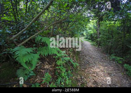 Zhejiang ningang yinzhou alte Straße im Sonnenlicht Stockfoto