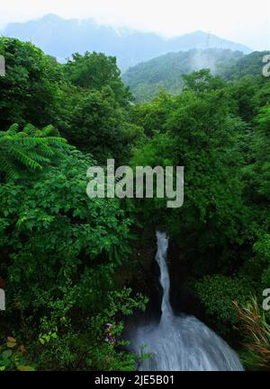 Zhejiang ningang yinzhou gainesville Stadt grüne Ökologie Stockfoto