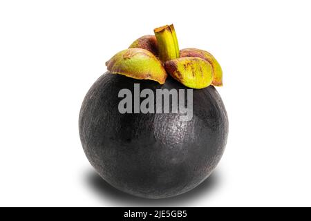 Nahaufnahme von einzelnen ganzen reifen Mangostan isoliert auf weißem Hintergrund mit Beschneidungspfad. Mangostan ist allgemein als Königin der Früchte bekannt. Stockfoto