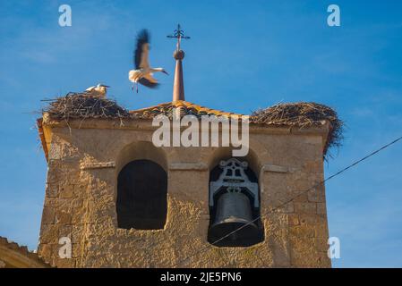 Glockenturm der Kirche und Störche nisten. Sotillo, Provinz Segovia, Castilla Leon, Spanien. Stockfoto