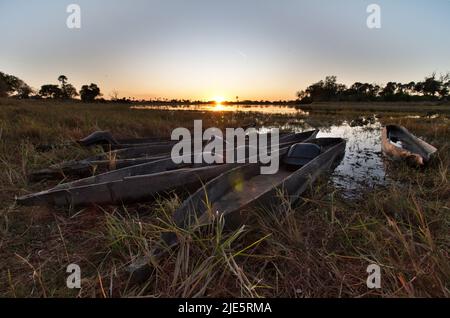 Mokorofahrt bei Sonnenuntergang im Okavango-Delta Stockfoto