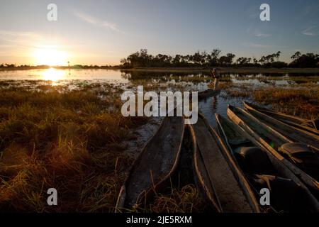 Mokorofahrt bei Sonnenuntergang im Okavango-Delta Stockfoto